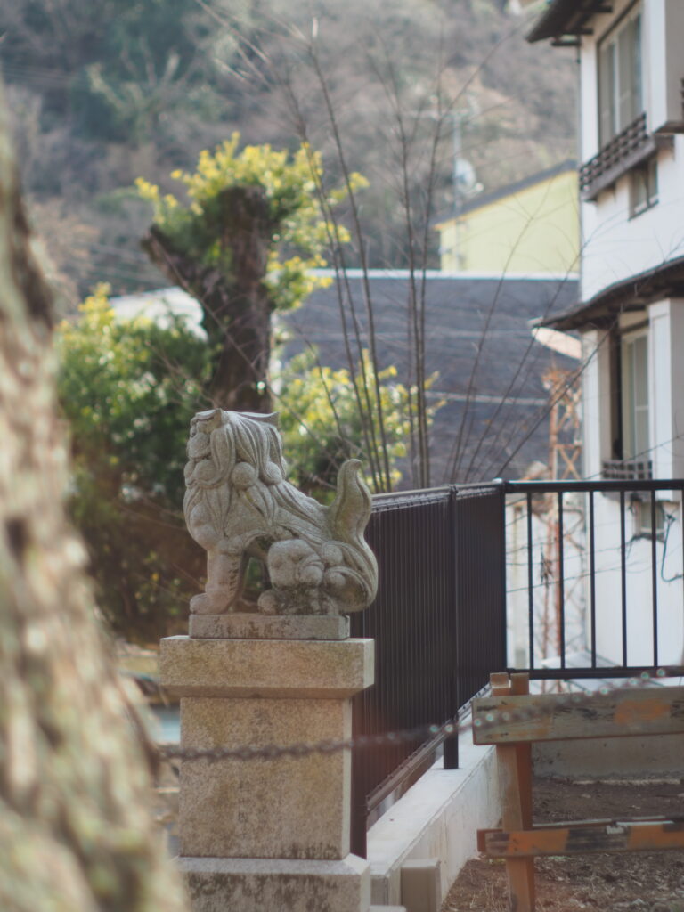 日枝神社の狛犬・どこか懐かしい雰囲気があります